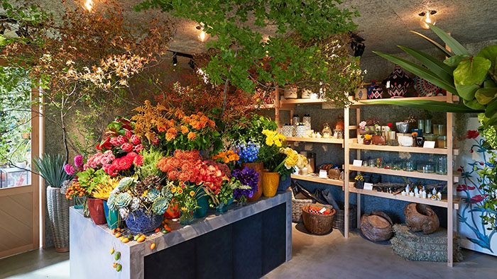 教室名（無料）