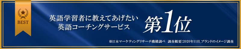 ダミーバナー800x164